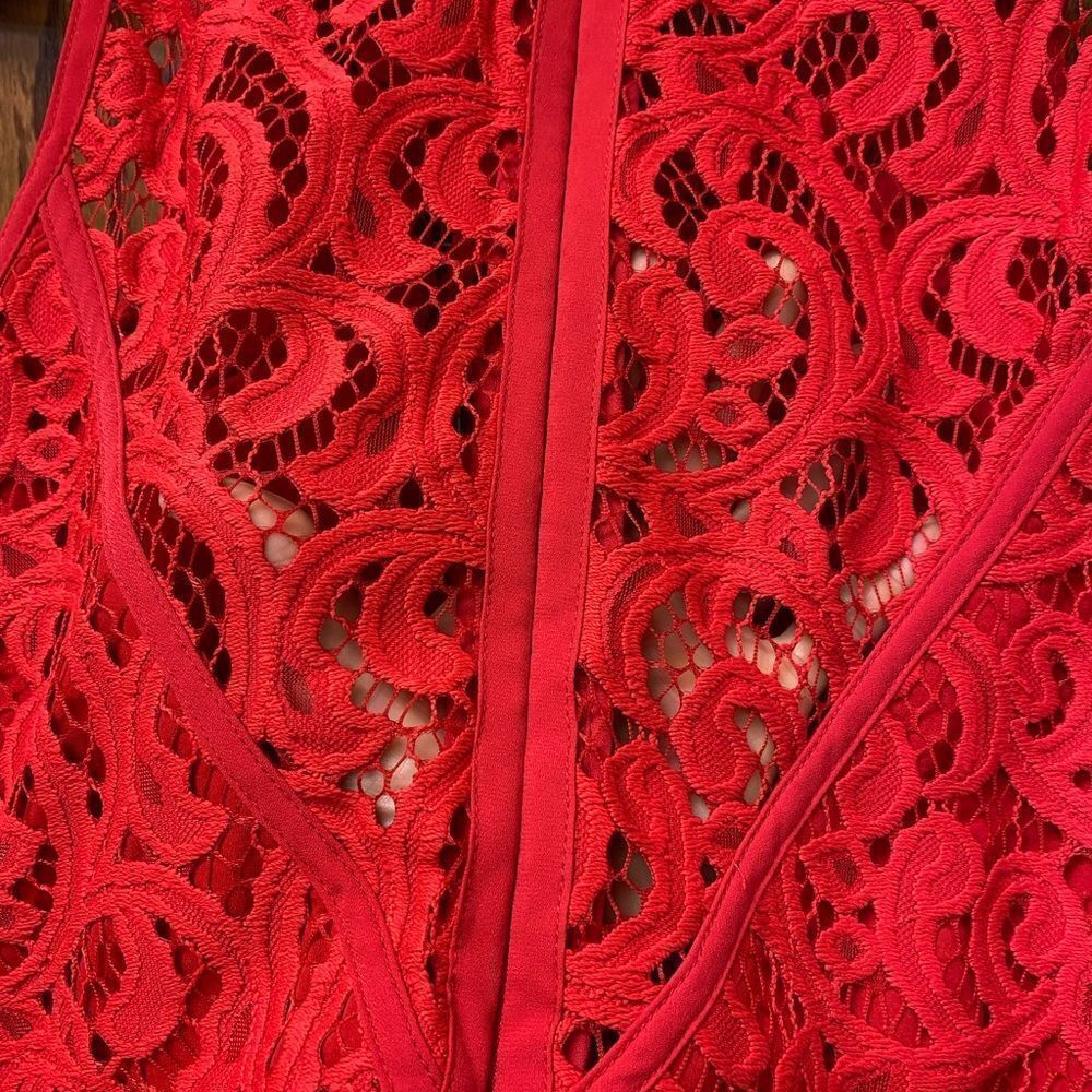 Bcbgmaxazria Red Hanah Scroll Lace Mini Dress - Sleeveless - Picture 6 of 11